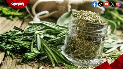 من المطبخ إلى العلاج.. كيف يحول إكليل الجبل صحتك للأفضل؟