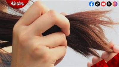 سرّ الشعر المثالي.. كيف تحمين شعرك من التلف خلال موسم الصيف؟