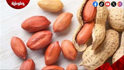 فوائد الفول السوداني.. وجبة خفيفة غنية تدعم صحتك وتمنحك طاقة يومية