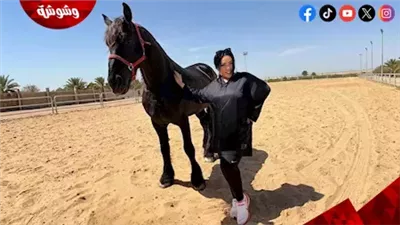 من الألم إلى الرشاقة.. كيف تحولت رحلة شيماء سيف مع التخسيس إلى تريند؟