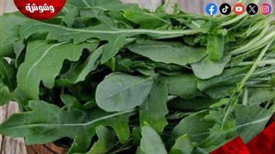 الجرجير سر الصحة والجمال.. فوائد مذهلة للنساء لا تُقدر بثمن