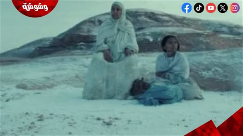 الفيلم الروائي الطويل