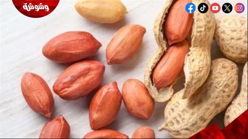 الفول السوداني 