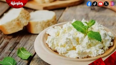 الجبن القريش.. سر طبيعي لكبح الشهية ودعم نجاح الرجيم