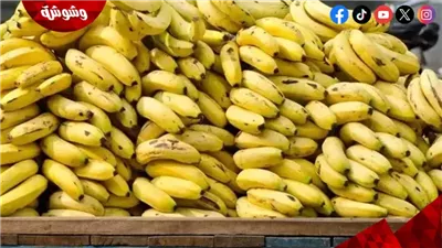 فوائد الموز حسب توقيت تناوله.. دليل عملي لصحتك