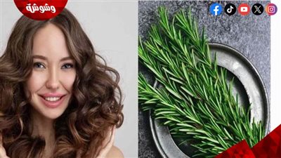 هل الروزماري يعزز نمو الشعر؟ فوائد محتملة وطرق الاستخدام