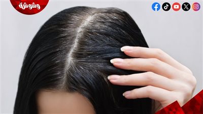 هل يمكن علاج الشيب بالليزر؟ الحقيقة وراء التقنيات الحديثة