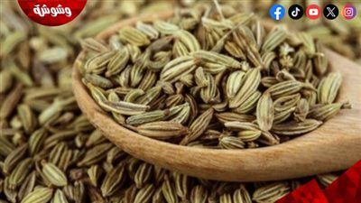 الشمر ليس مجرد مشروب دافئ.. فوائد مذهلة لتعزيز الهضم وتنظيم سكر الدم