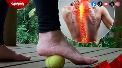 تمرين كرة التنس أسفل القدم.. تقنية بسيطة تساعد على استرخاء العضلات وتخفيف آلام الظهر