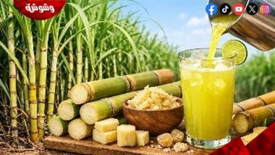 قصب السكر.. مشروب صيفي بفوائد صحية غير متوقعة