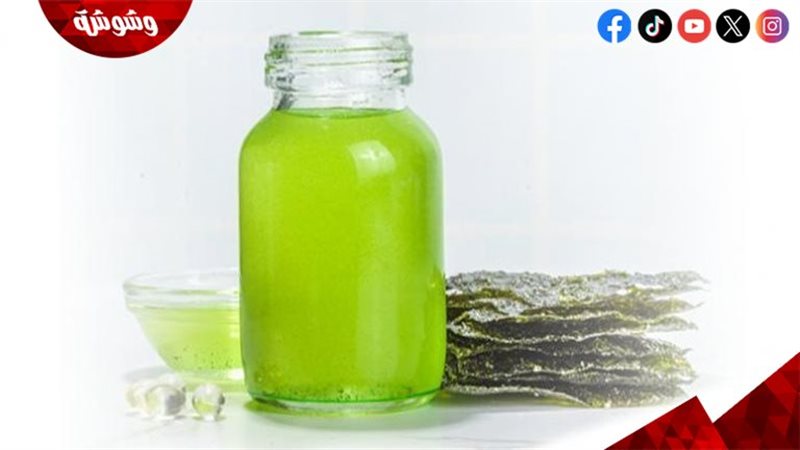  زيت الطحالب