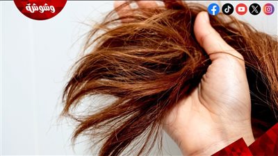 زيوت طبيعية تعيد لمعان الشعر الجاف وتمنحه مظهرًا صحيًا
