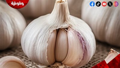 الثوم وضغط الدم.. الحل السحري المختبئ في مطبخك
