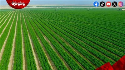 الأرض تستغيث… وخبير بيئي يحذر: المناخ يهدد غذاء العالم والطاقة