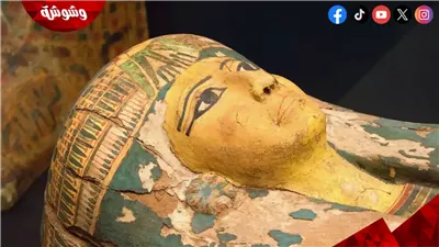 بردية الإلياذة داخل مومياء.. كشف أثري مذهل يربط مصر القديمة بالثقافة اليونانية