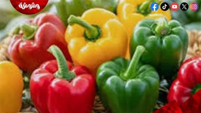 الفلفل الأحمر يتصدر القائمة الغذائية.. فوائد استثنائية وتنوع صحي لبقية الألوان