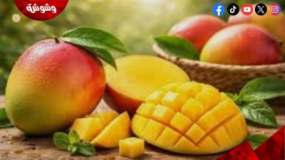 8 أسباب لتناول الفواكه الحمضية.. طريقك الطبيعي لتعزيز صحتك