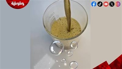 شامبو طبيعي من السدر والزيوت.. وصفة فعالة لتغذية الشعر واستعادة حيويته