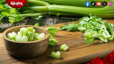 فوائد الكرفس المذهلة.. سر بسيط لصحة أفضل وجسم أكثر نشاطًا