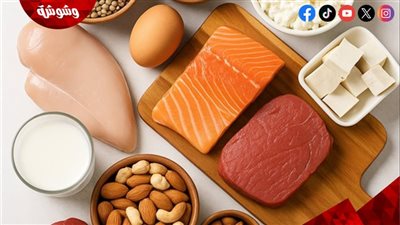 البروتين في الإفطار.. سر الطاقة والتركيز طوال اليوم