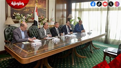 عبر الفيديو كونفرانس.. الأعلى للإعلام يبحث مع هيئة الإعلام السعودية تعزيز حماية الملكية الفكرية