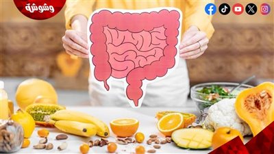 صحة الأمعاء.. أطعمة بسيطة تحسن الهضم يوميًا
