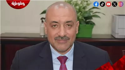  نائب شعبة الخضروات ينفي تصريح “اللي مش عاجبه البطيخ ياكل موز”: “الكلام ده مقولتوش