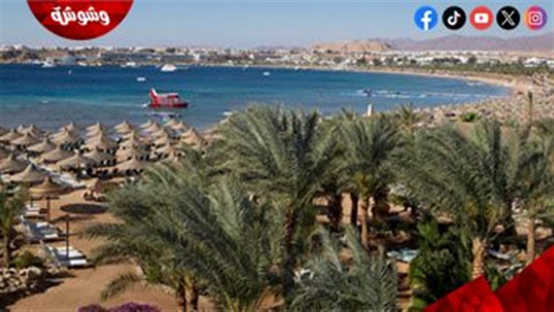 أرض الفيروز