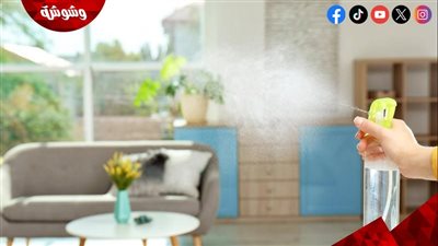 طرق طبيعية لتعطير البيت تمنح منزلك رائحة تشبه الفنادق