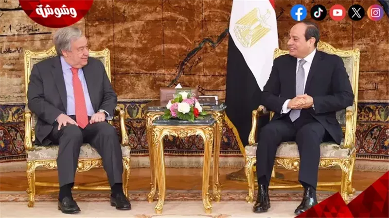 السيسي وجوتيريش