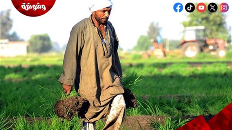 وشوشة
