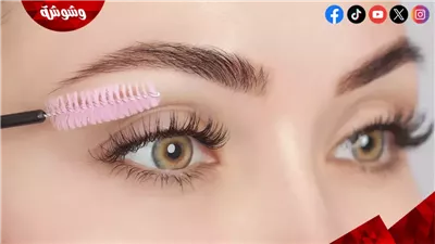 طرق تكثيف الرموش طبيعيًا.. وصفات سهلة لنظرة أكثر جاذبية