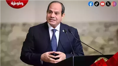  السيسي: مصر تدعم استقرار ووحدة الدول الإفريقية