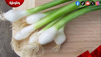البصل الأخضر.. كنز غذائي يحمي القلب ويقوي المناعة ويحسن الهضم