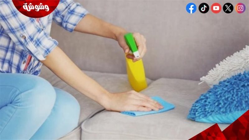 تنظيف الأنترية 