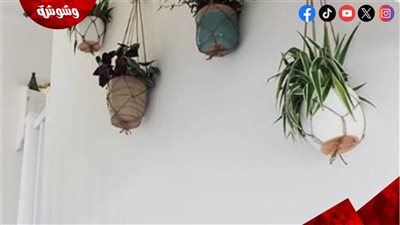 النباتات والمرايا والإضاءة.. مفاتيح منزل أكثر جمالاً وجاذبية