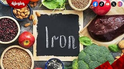 أطعمة غنية بالحديد لتعزيز صحة الجسم والوقاية من الأنيميا.. تعرف عليها