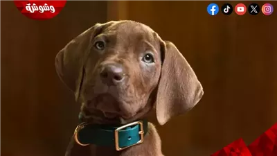 أول ظهور واقعي لـ