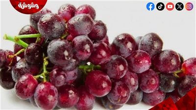 العنب في الصيف.. ماذا يحدث لمريض الكلى عند تناوله؟