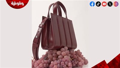 حقائب ويتني من ماكس مارا.. تصميم أنيق يجمع بين الفخامة والعملية