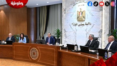 رئيس الوزراء: سرعة الانتهاء من مشروعات 