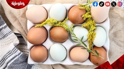 لماذا ينصح الأطباء بتناول البيض يوميًا؟ تعرف على أبرز فوائده