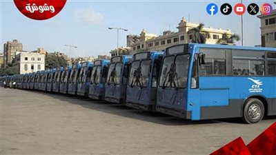 تحويل 754 أتوبيس للعمل بالغاز الطبيعي.. الحكومة تواصل تطوير النقل العام وتقليل الانبعاثات