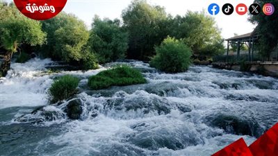 رصد 1.4 مليار جنيه لتطهير الترع بالمحافظات والحفاظ على الثروة المائية