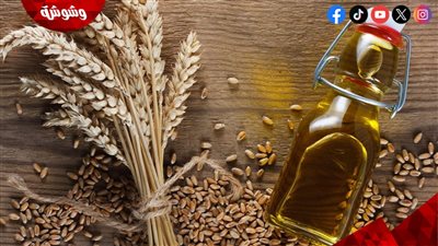 زيت جنين القمح للبشرة.. فوائد مذهلة لترطيب عميق ومحاربة التجاعيد وتجديد الخلايا