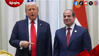 السيسي لـ ترامب: نقدر جهودكم لتحقيق السلام في الشرق الأوسط