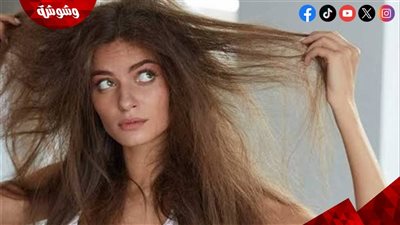 في الصيف والحر.. كيف تتخلصين من هيشان الشعر بخطوات سهلة؟