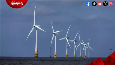 استشاري استدامة يكشف تفاصيل مصنع توربينات الهواء ودعم الدولة للطاقة المتجددة 