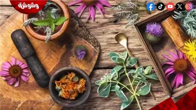 تعرفي على أشهر الأعشاب التي تدعم الصحة الإنجابية والجسم بطريقة طبيعية
