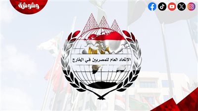 اتحاد المصريين بالخارج: ثورة 30 يونيو أعادت للمغتربين حقوقهم